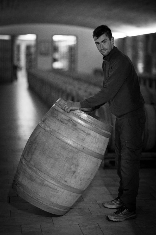Il Roncal Wine Resort - For Wine Lovers Cividale del Friuli エクステリア 写真