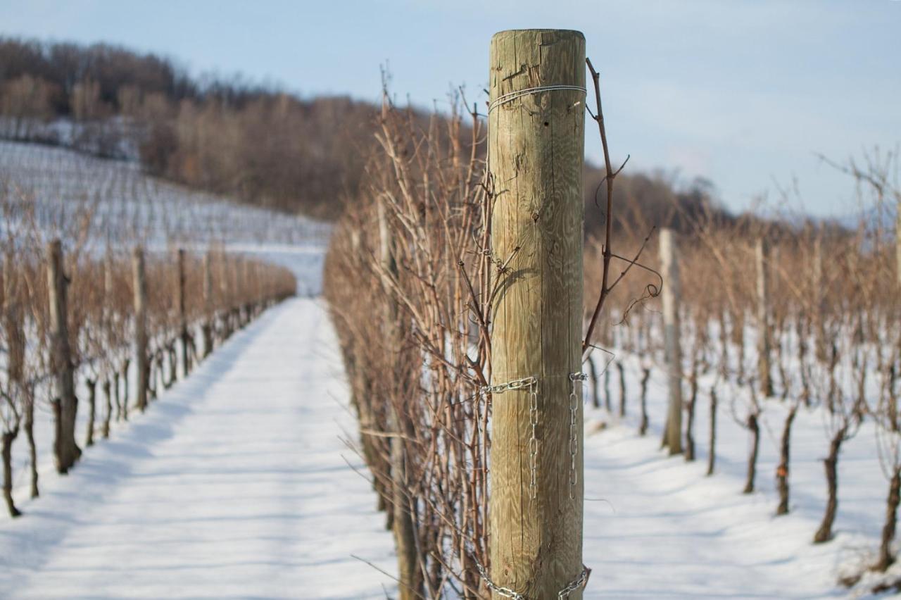 Il Roncal Wine Resort - For Wine Lovers Cividale del Friuli エクステリア 写真