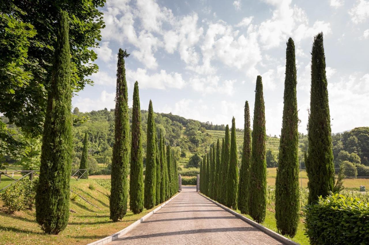 Il Roncal Wine Resort - For Wine Lovers Cividale del Friuli エクステリア 写真