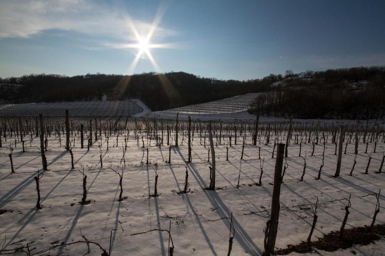 Il Roncal Wine Resort - For Wine Lovers Cividale del Friuli エクステリア 写真