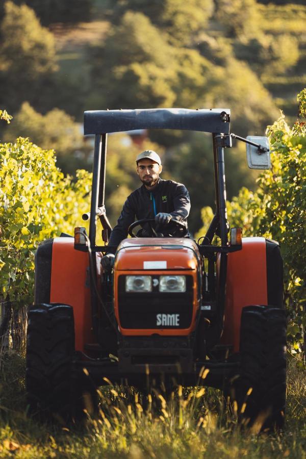 Il Roncal Wine Resort - For Wine Lovers Cividale del Friuli エクステリア 写真
