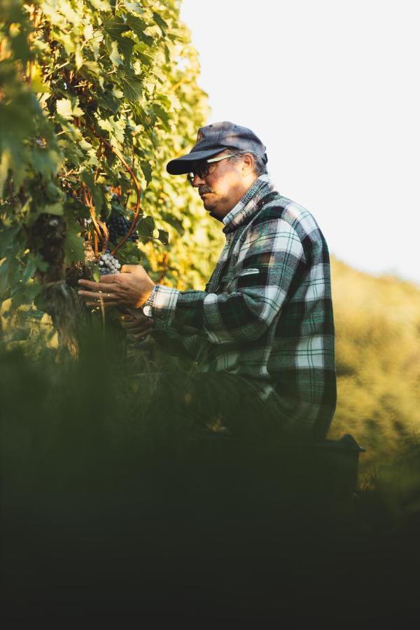 Il Roncal Wine Resort - For Wine Lovers Cividale del Friuli エクステリア 写真
