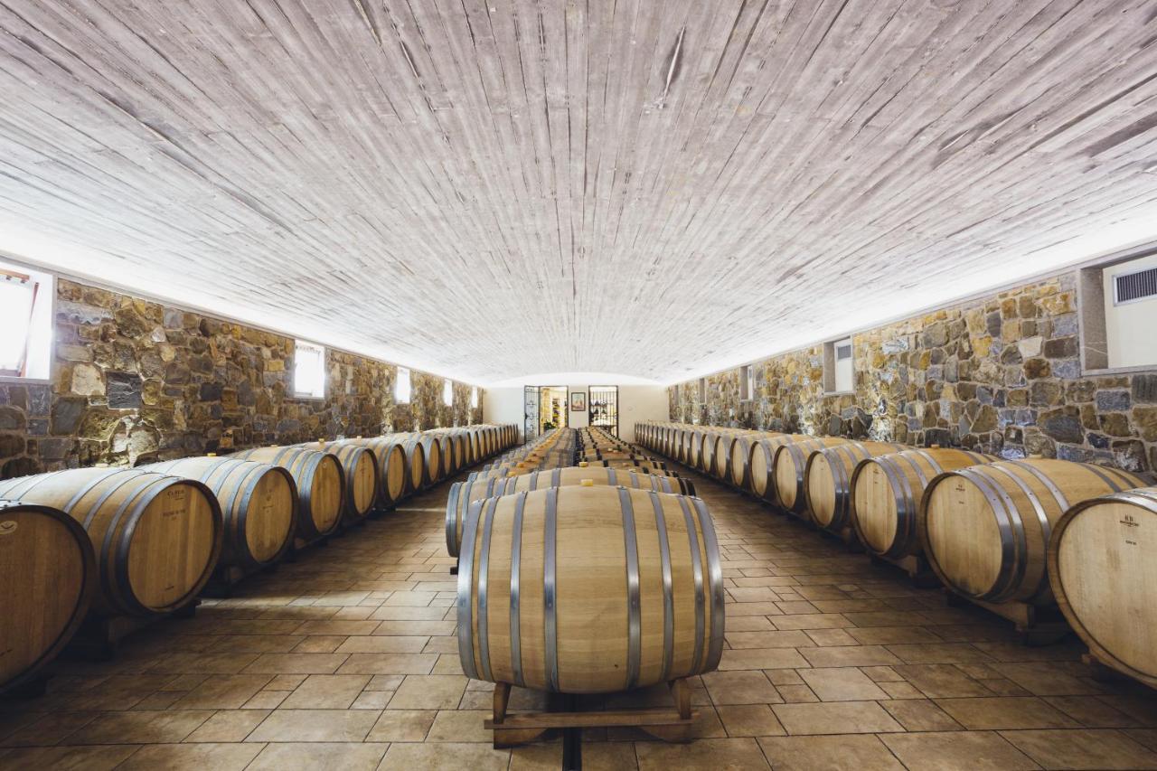 Il Roncal Wine Resort - For Wine Lovers Cividale del Friuli エクステリア 写真