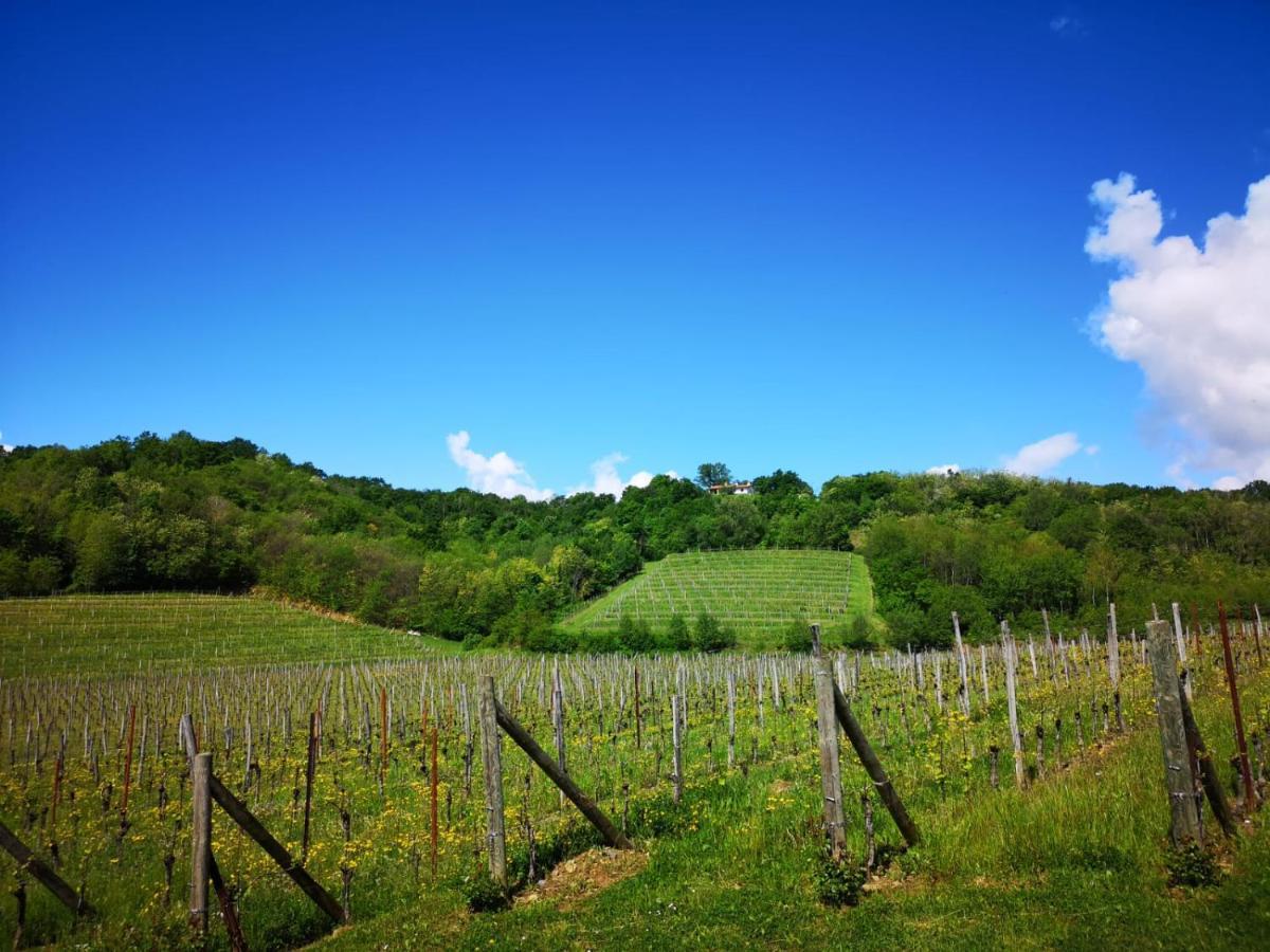 Il Roncal Wine Resort - For Wine Lovers Cividale del Friuli エクステリア 写真