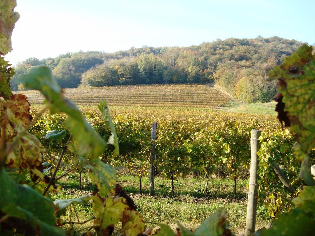Il Roncal Wine Resort - For Wine Lovers Cividale del Friuli エクステリア 写真
