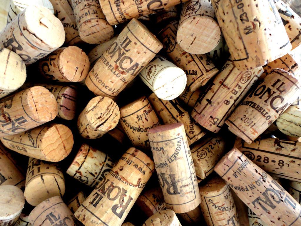 Il Roncal Wine Resort - For Wine Lovers Cividale del Friuli エクステリア 写真