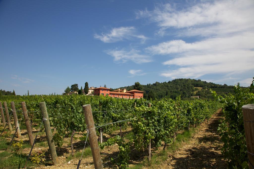 Il Roncal Wine Resort - For Wine Lovers Cividale del Friuli エクステリア 写真
